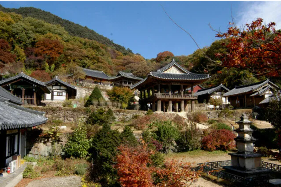 야외, 하늘, 나무, 식물이(가) 표시된 사진

AI 생성 콘텐츠는 정확하지 않을 수 있습니다.