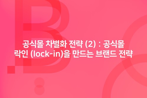 공식몰 차별화 전략 (2) : 공식몰 락인 (lock-in)을 만드는 브랜드 전략